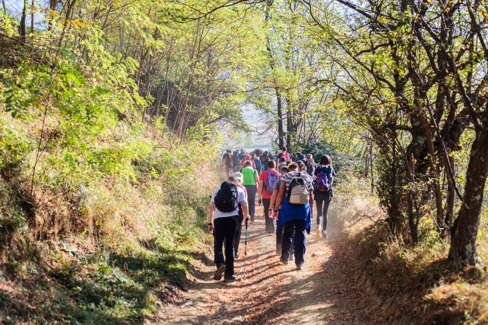 Find A Walking Group Or Club For Over 50s Near You Lottie find-a-walking-group-or-club-for-over-50s-near-you-lottie