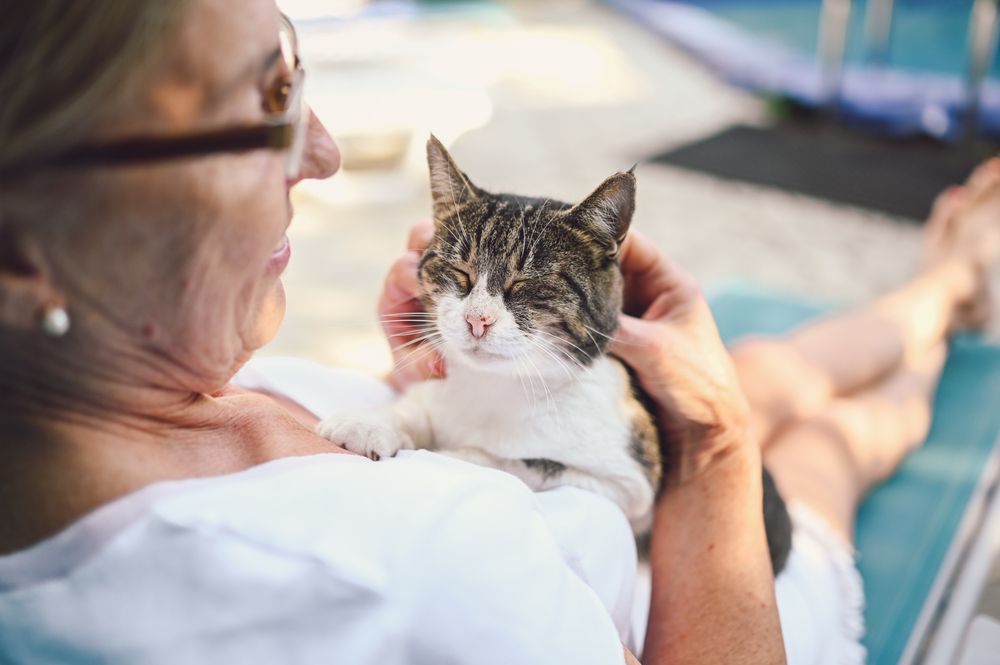 Older woman and a cat